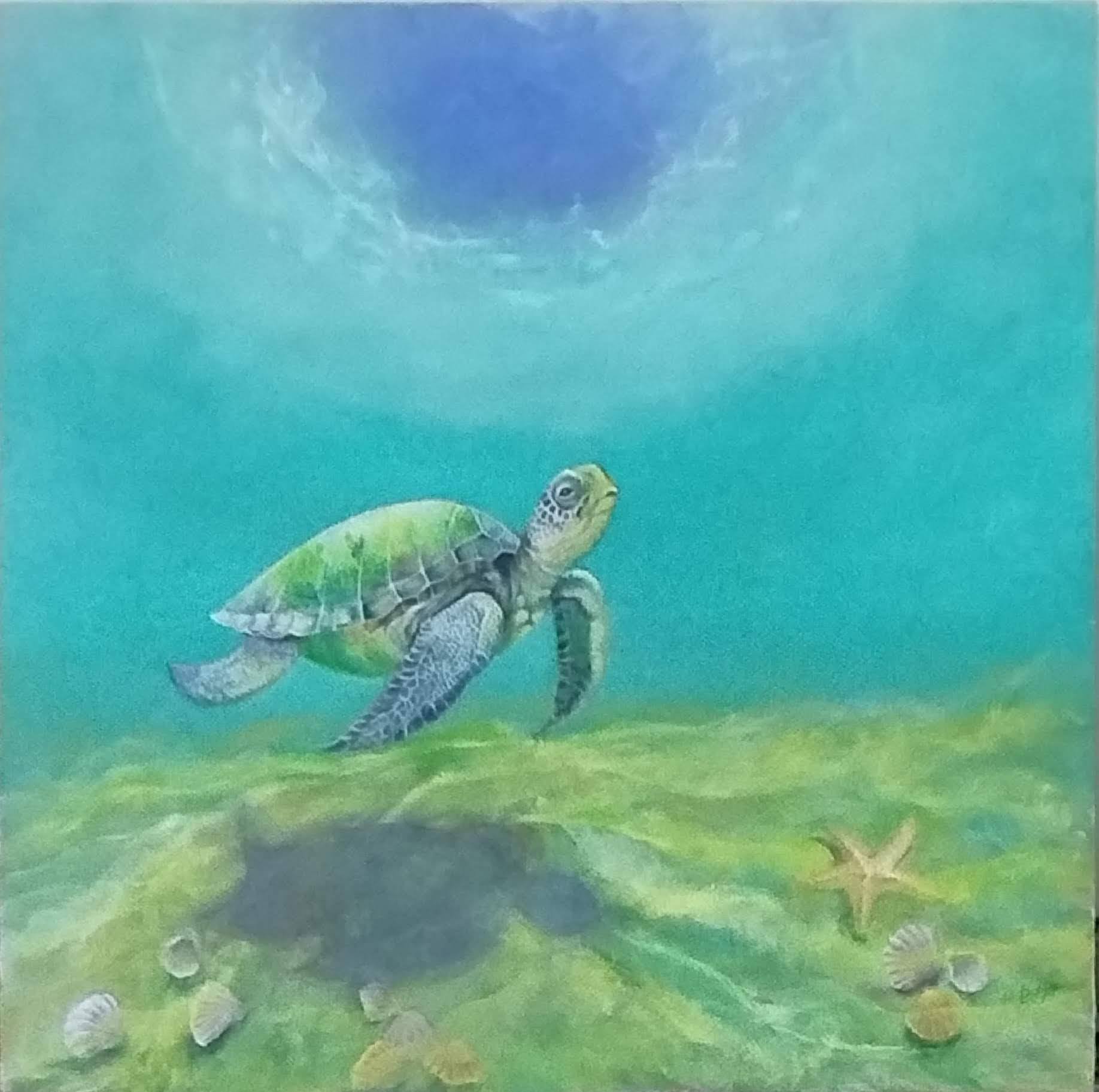 Turtle Odyssey