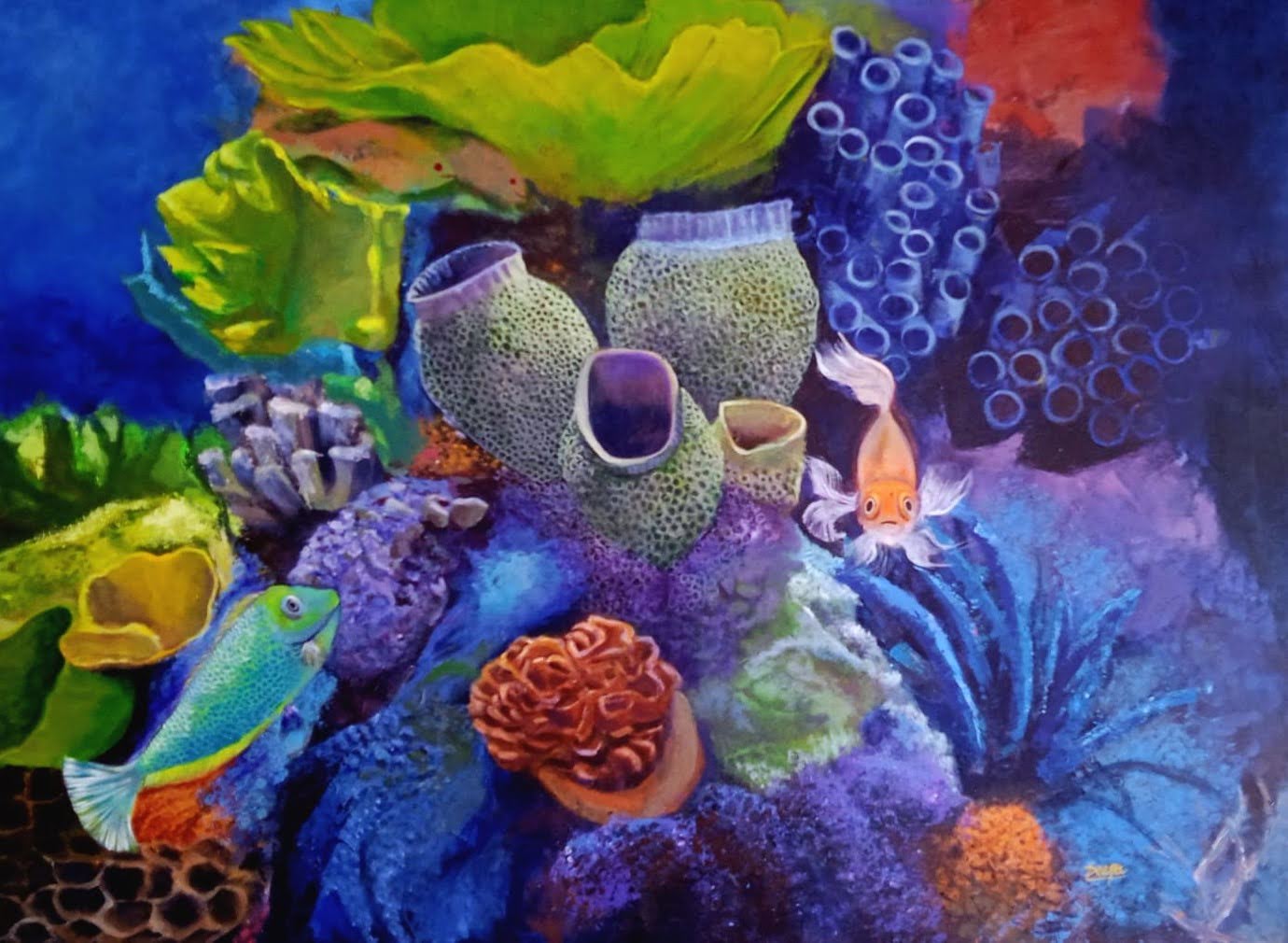 Corals