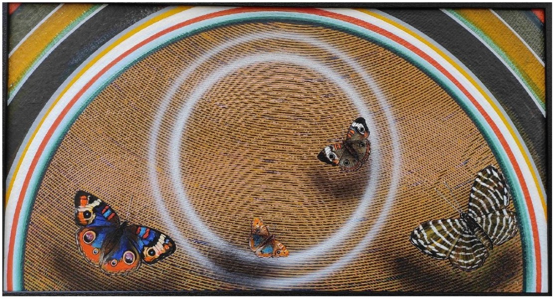 Happy Vibration-26