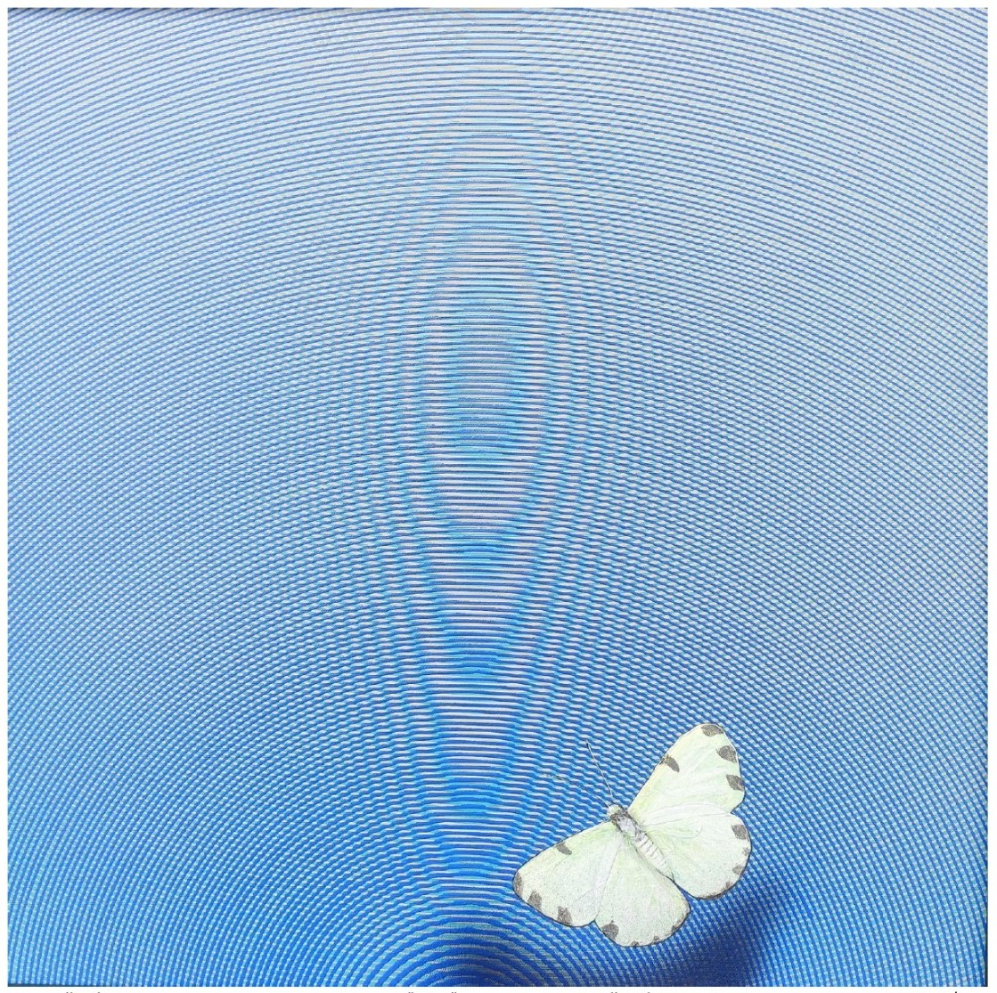 Happy Vibration-52