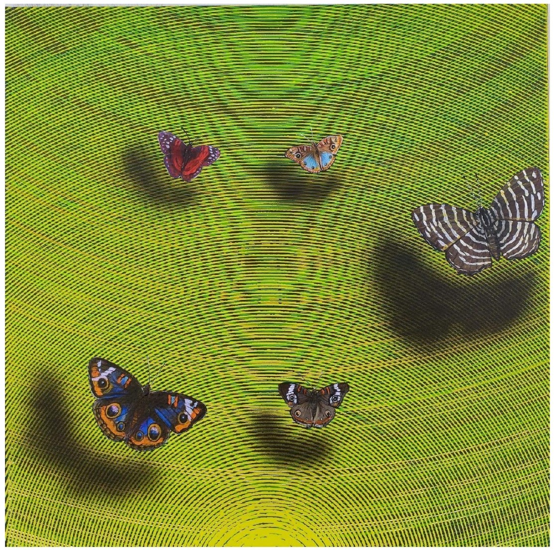 Happy Vibration-37