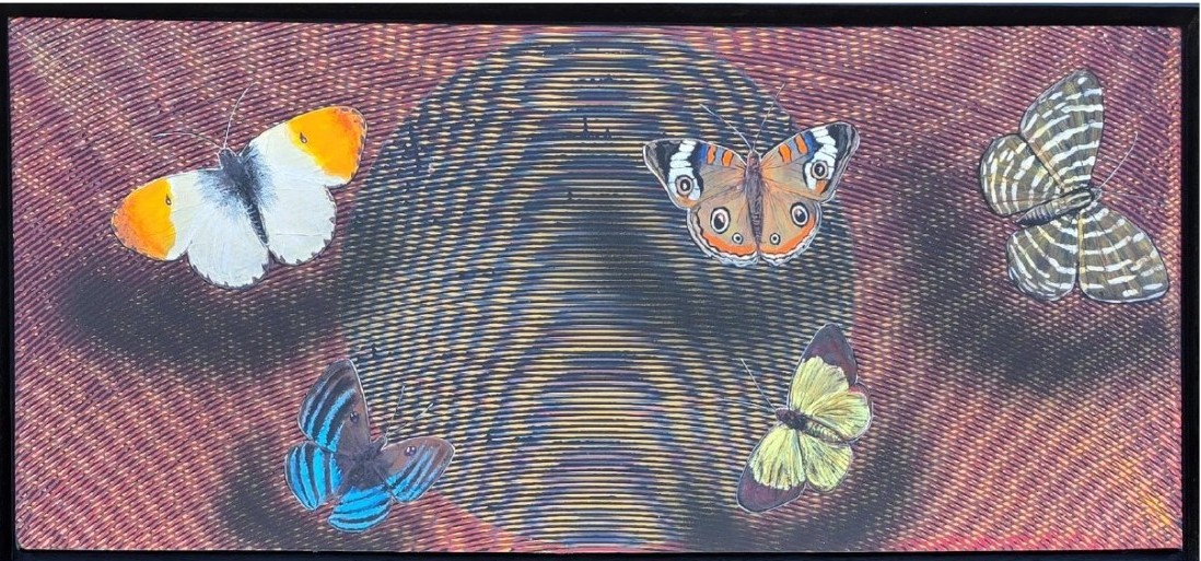 Happy Vibration-59