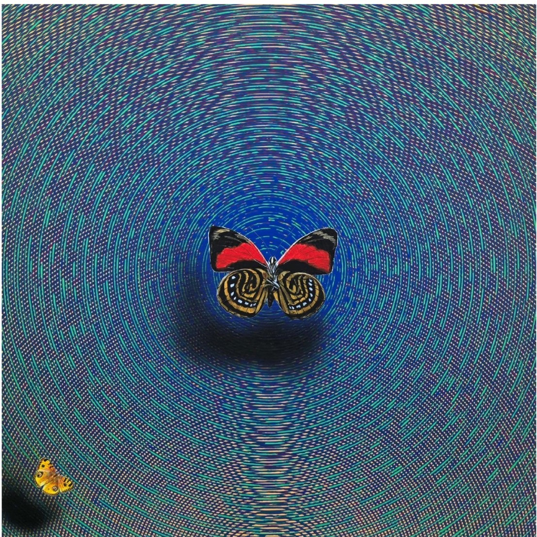 Happy Vibration-52