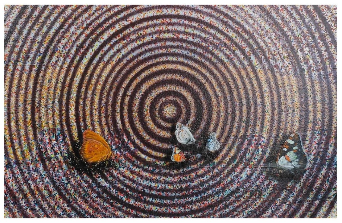 Happy Vibration-3