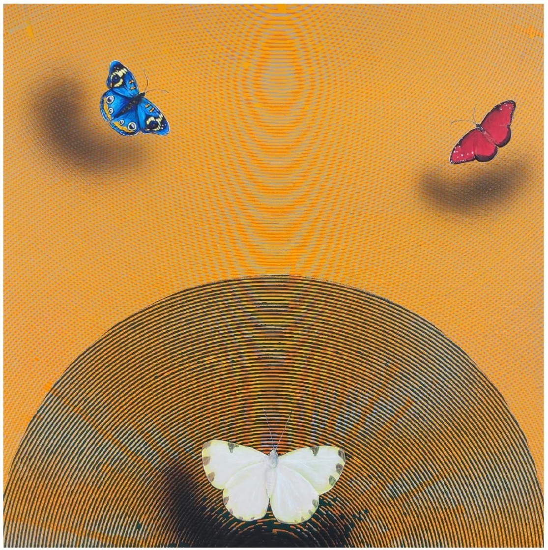 Happy Vibration -51