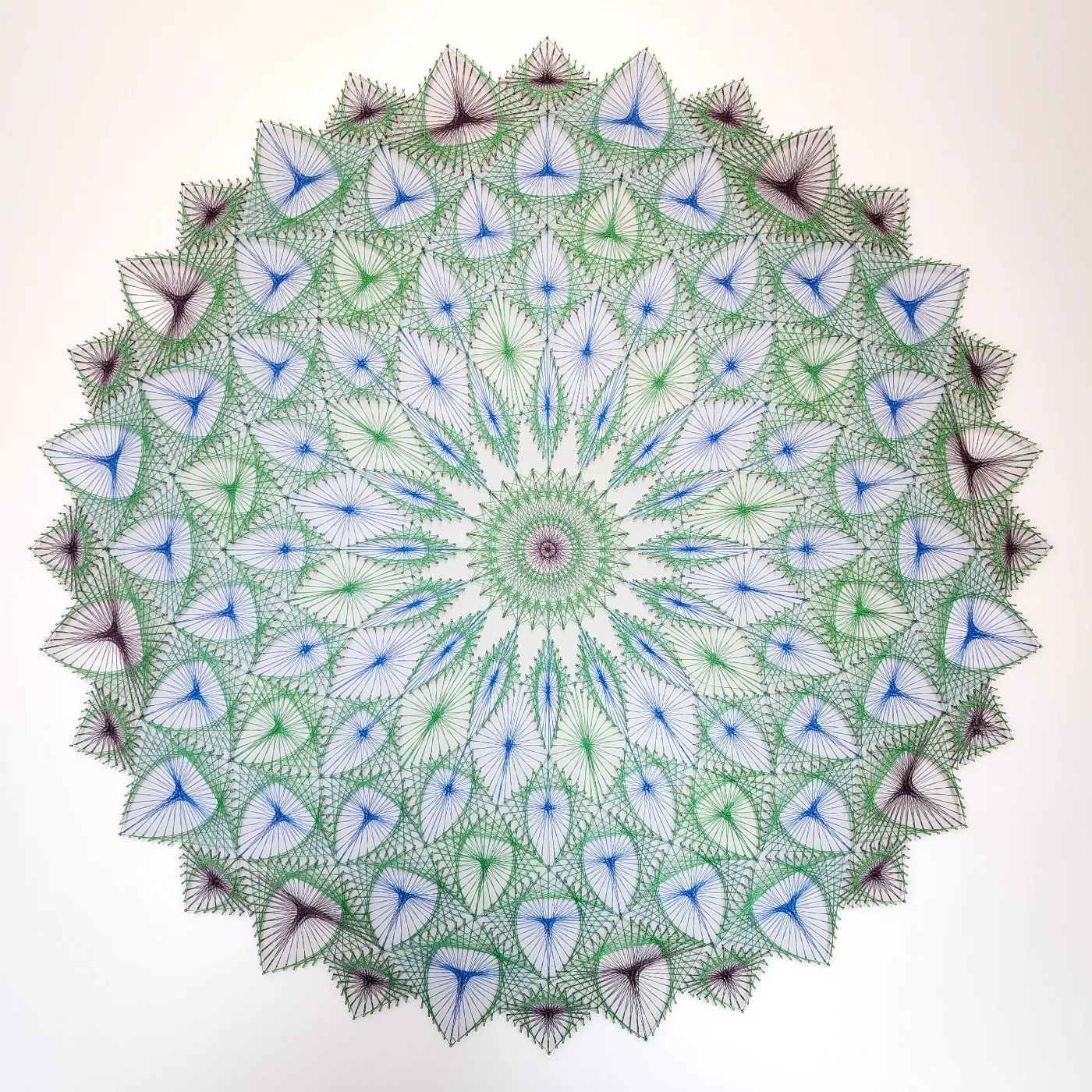 Flattered by a Peacock