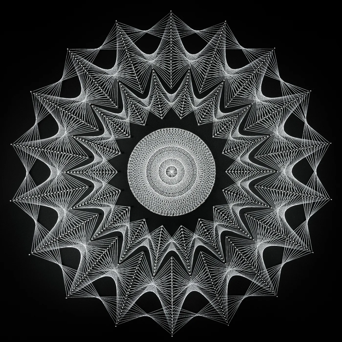 Caught in a Web