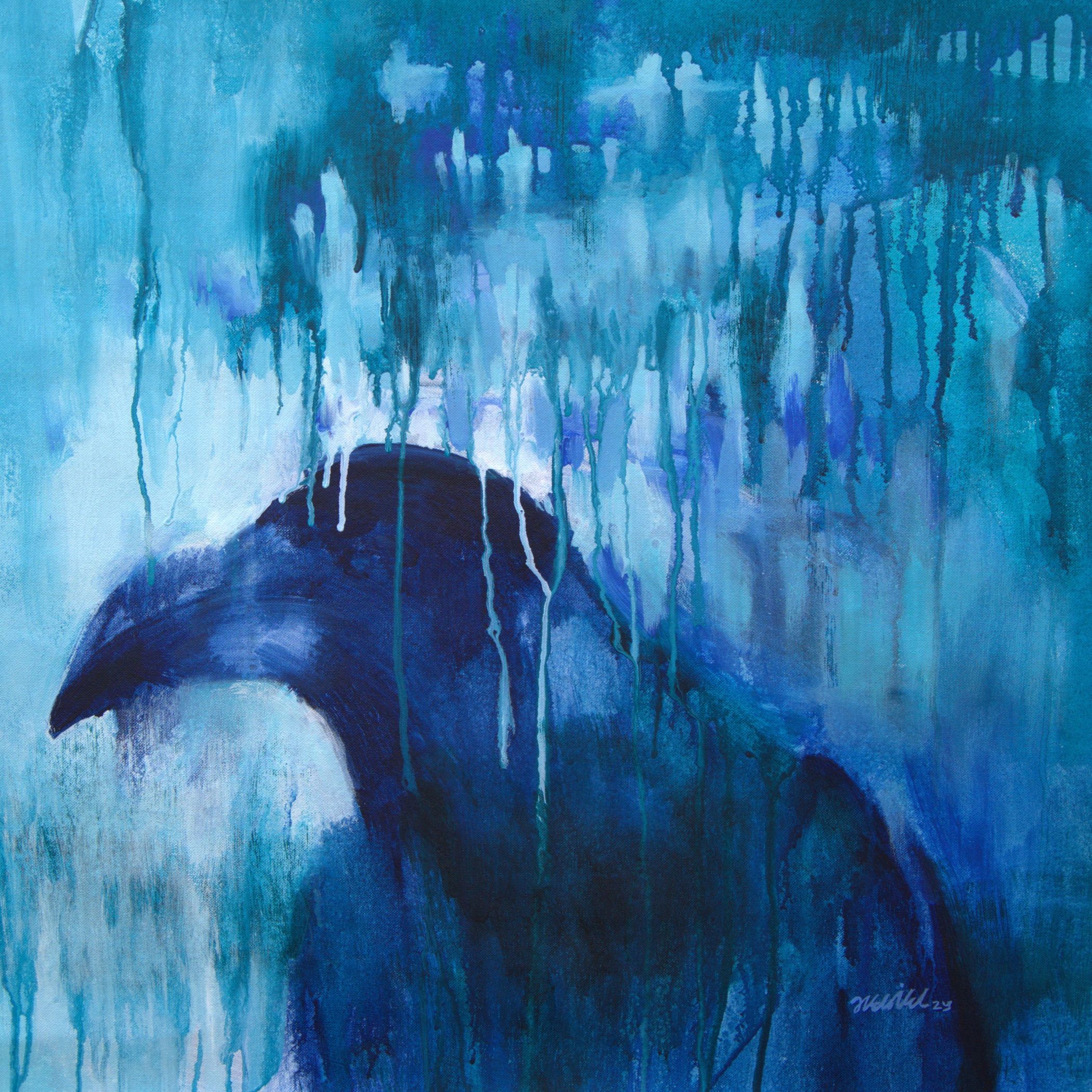 Crow series 6