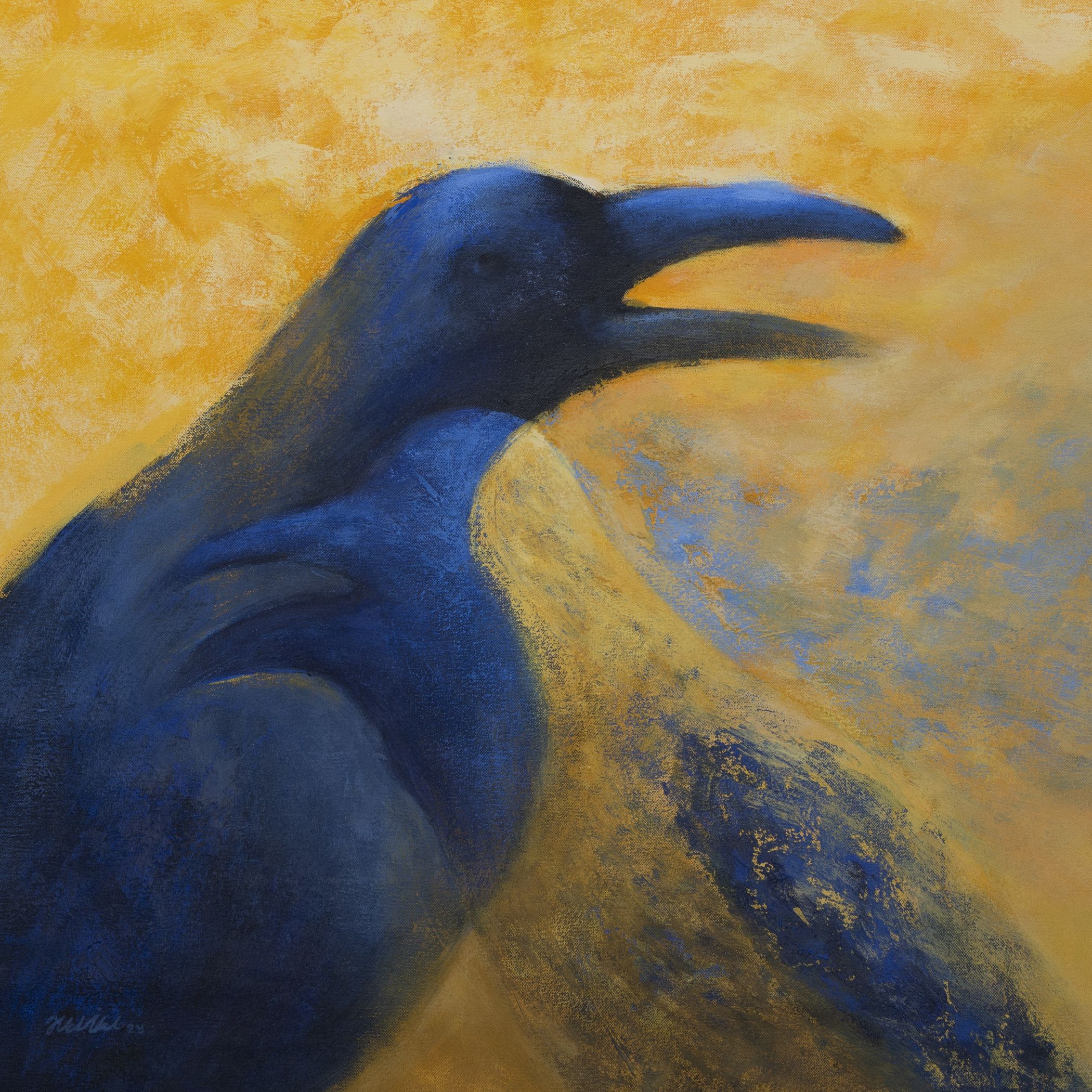 Crow series 11