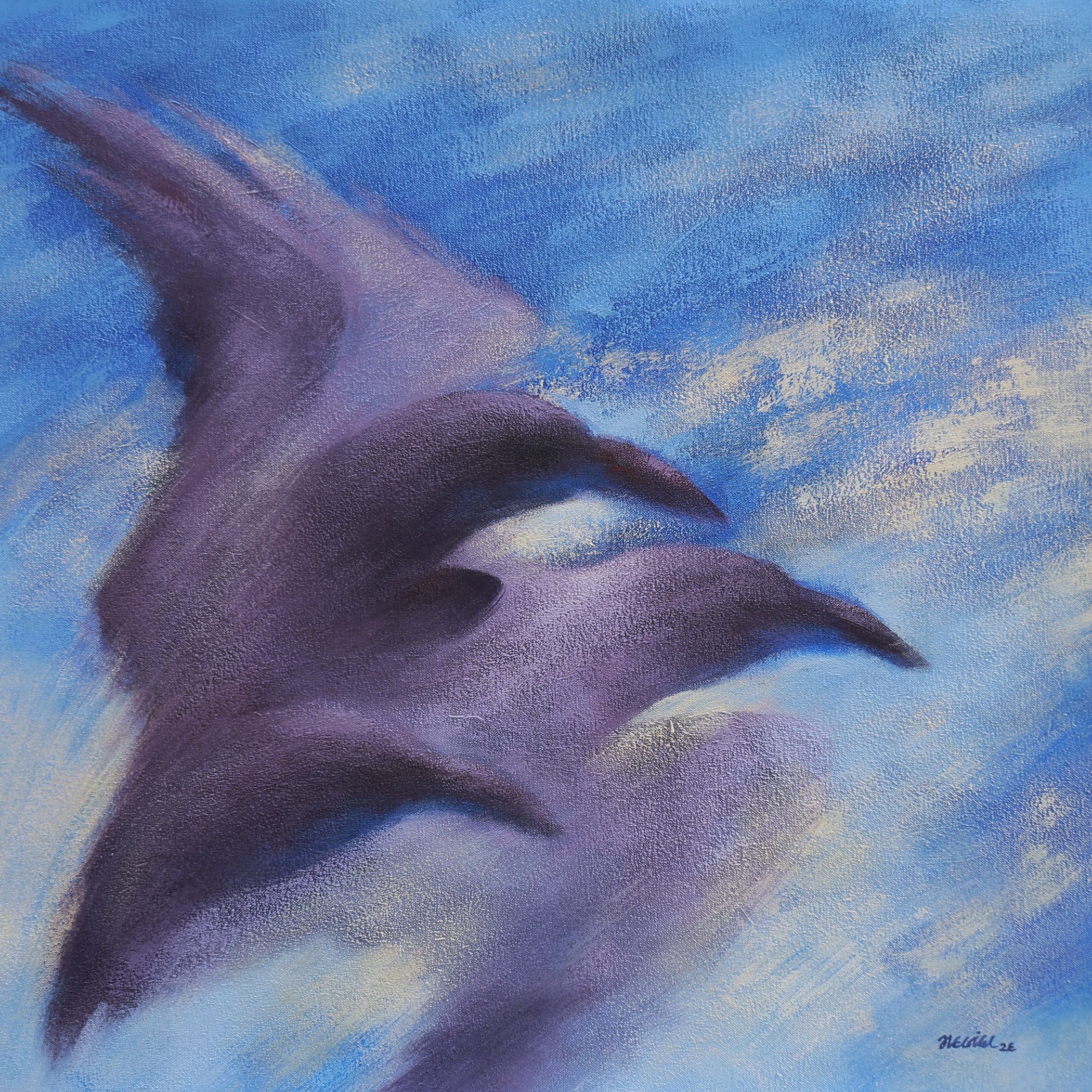 Crow series 12