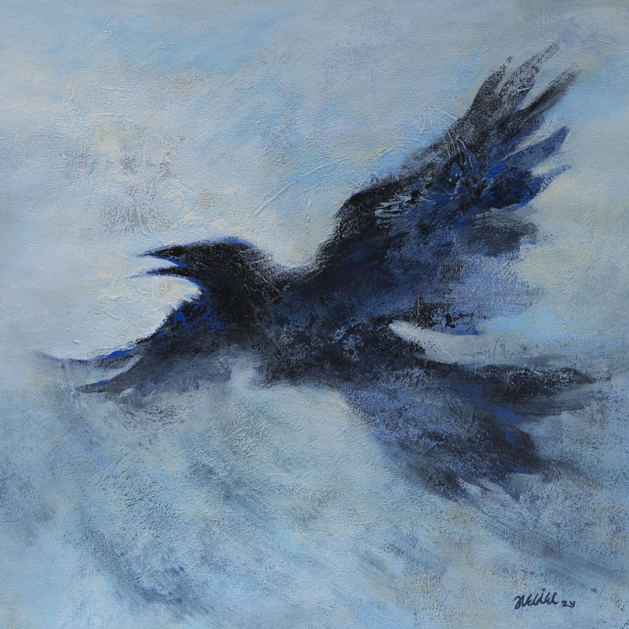 Crow series 13