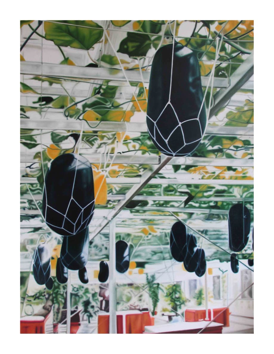 The Cradles of Cucumbers