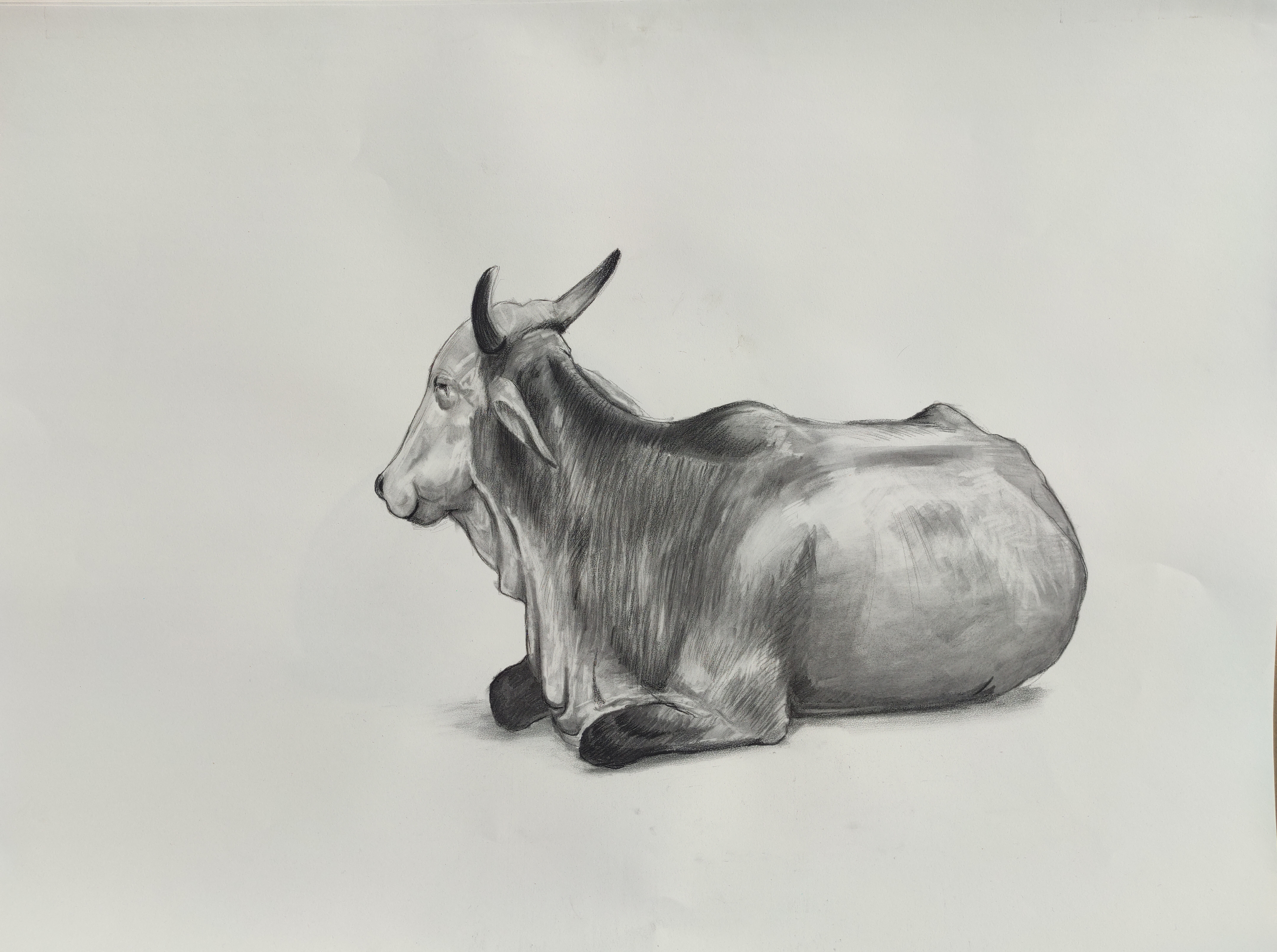 Resting Form