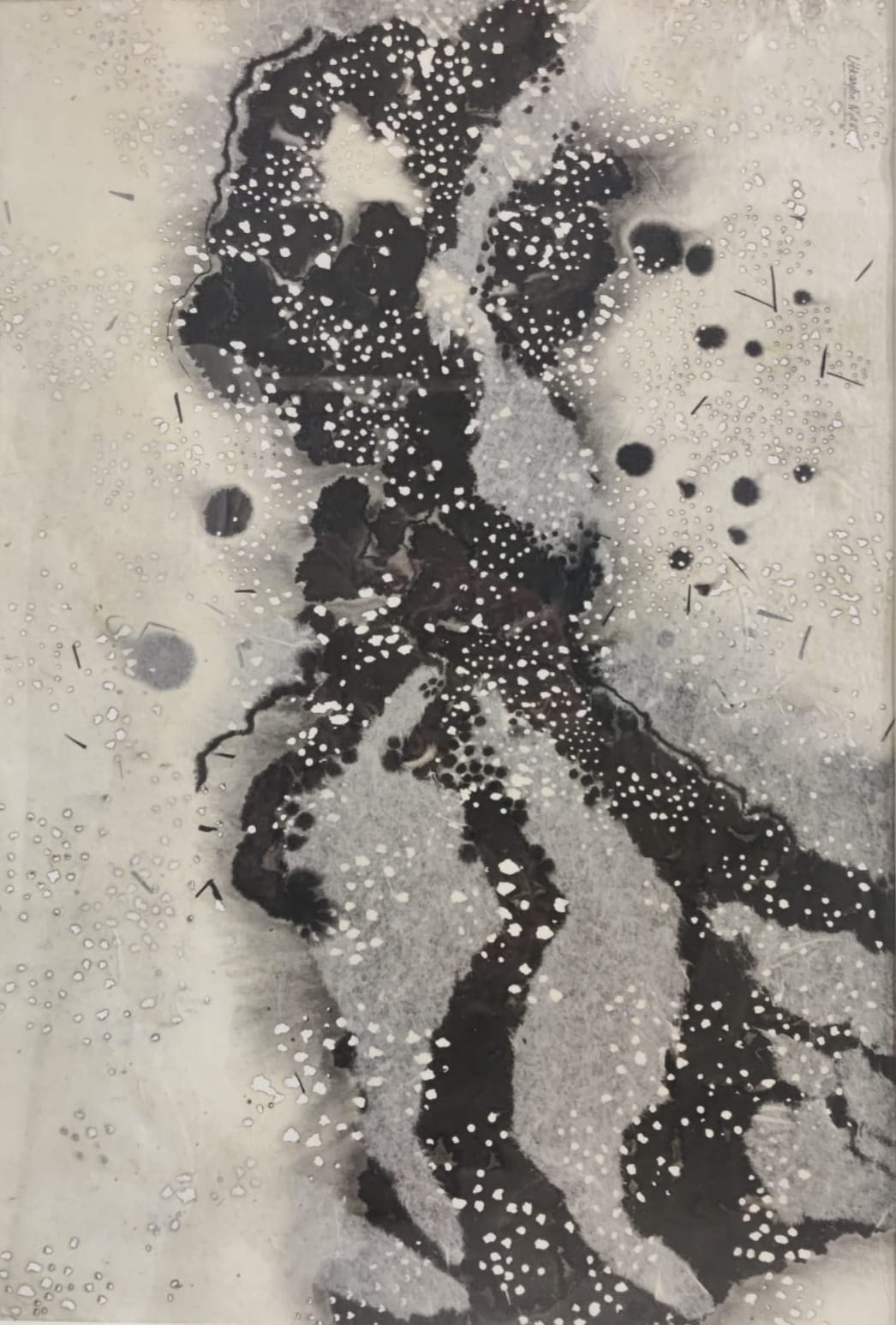 Untitled 1