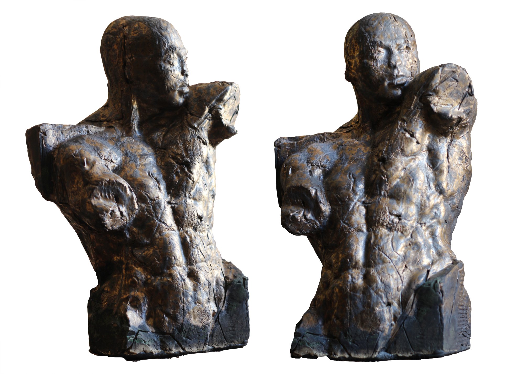 Torso