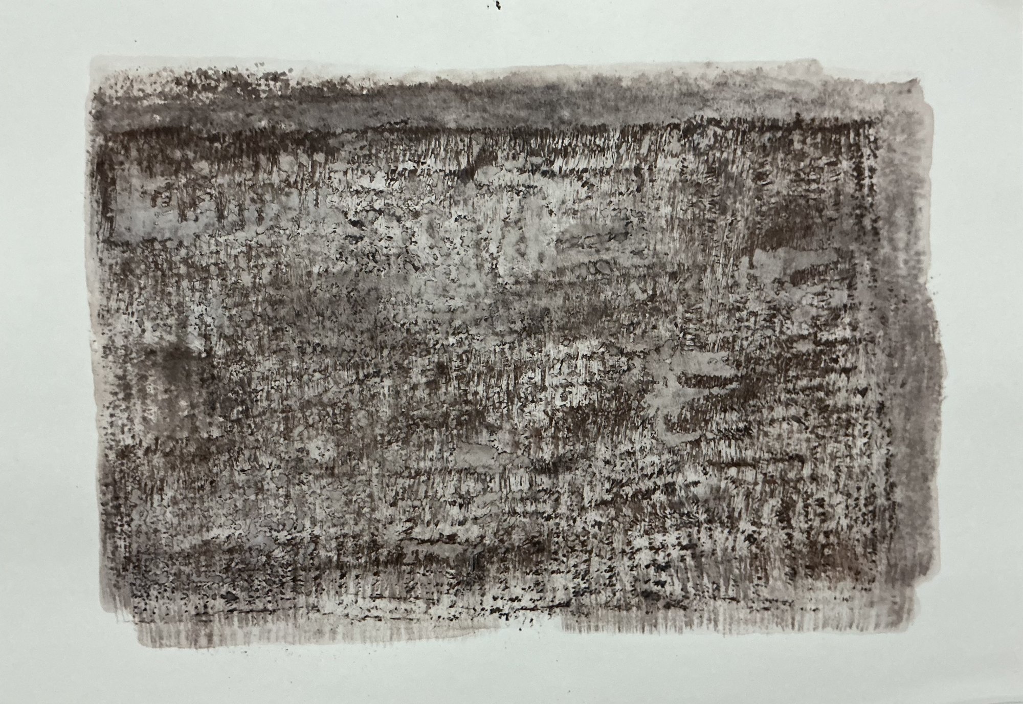 PBV Untitled 03